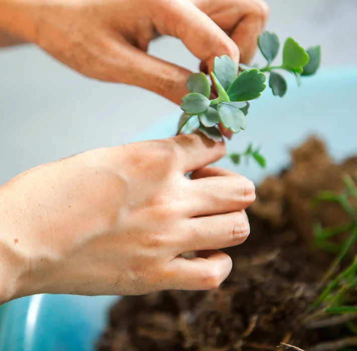 11062b_fc451e3be14b4b41a9f572435b5a7552~mv2